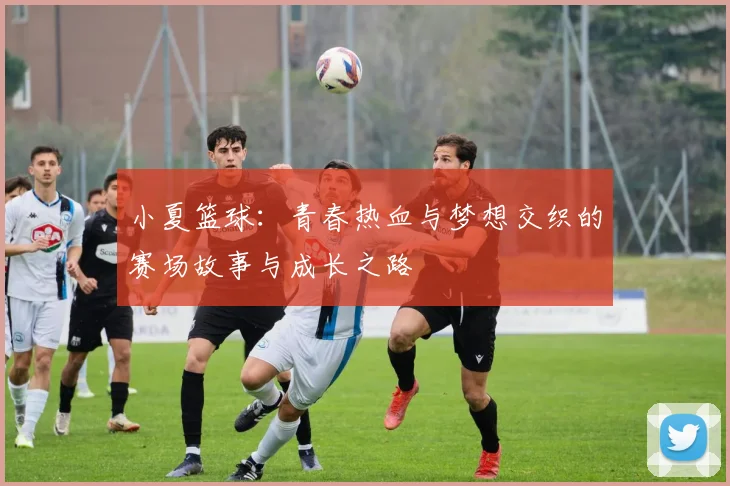 小夏篮球：青春热血与梦想交织的赛场故事与成长之路