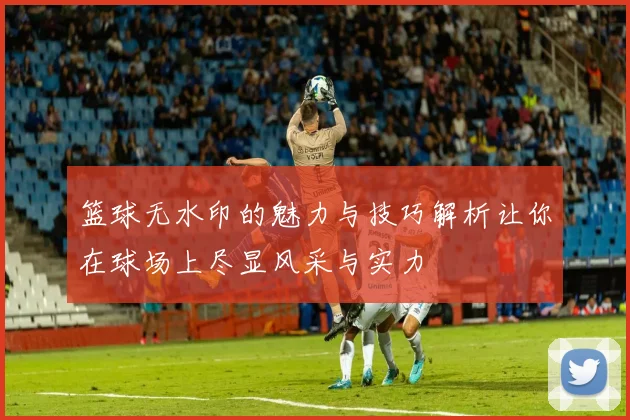 篮球无水印的魅力与技巧解析让你在球场上尽显风采与实力