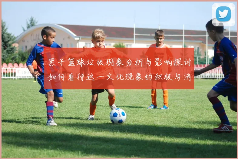 黑子篮球垃圾现象分析与影响探讨如何看待这一文化现象的积极与消极面