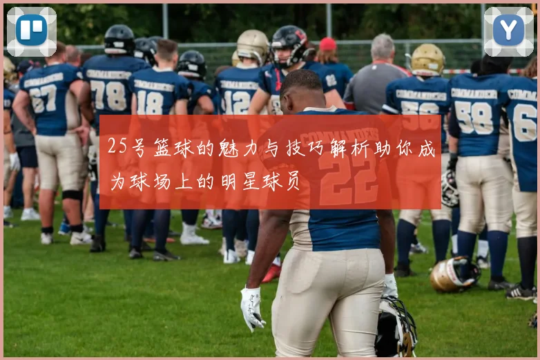 25号篮球的魅力与技巧解析助你成为球场上的明星球员