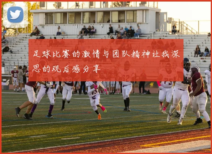 足球比赛的激情与团队精神让我深思的观后感分享