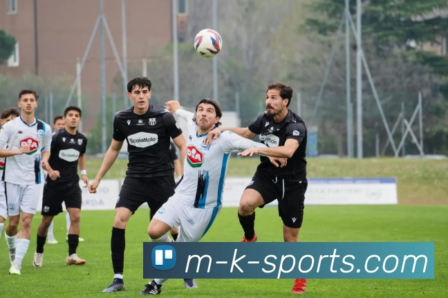 中文体育资讯平台生态图